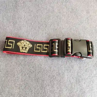 versace dog collar|versace dog collar and leash.